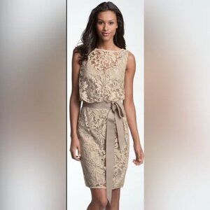 NWOT Lace Sheath Dress